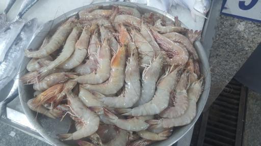 عکس بازار جدید ماهی فروشان بندرعباس