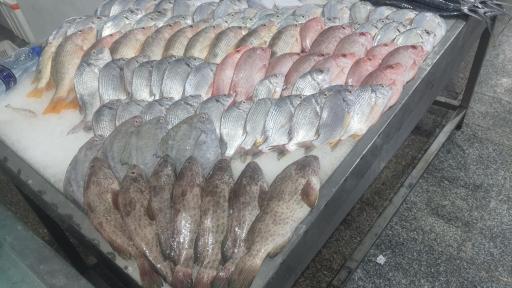 عکس بازار جدید ماهی فروشان بندرعباس