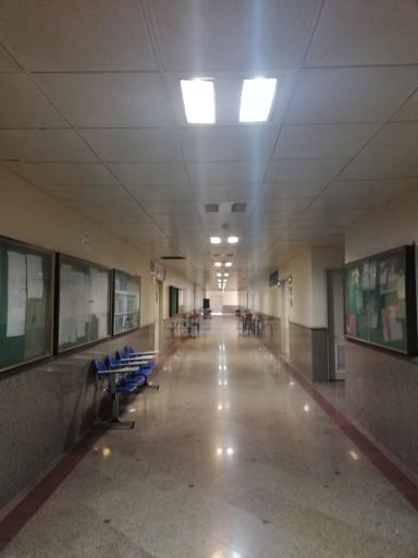 عکس دانشکده ادبیات و علوم انسانی