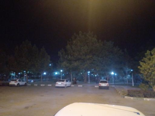 عکس بوستان اقاقیا