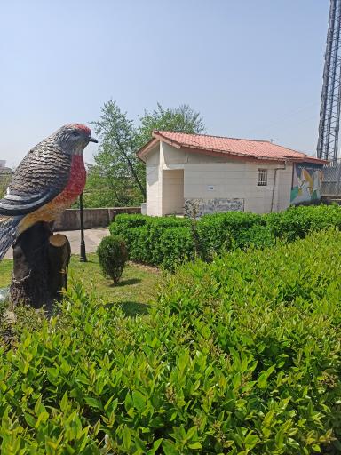 عکس سرویس بهداشتی