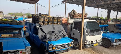 عکس باروامانت فروشیه برادران ندیمی