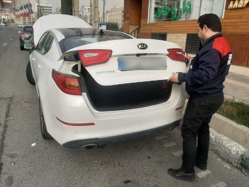 عکس کارشناسی خودرو دنیز چک کارز 