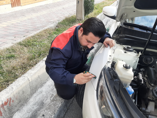 عکس کارشناسی خودرو دنیز چک کارز 