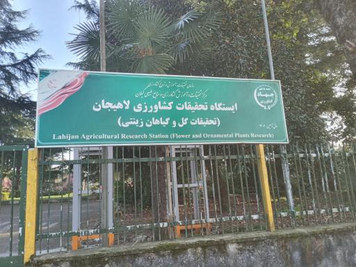 عکس باغ تحقیقات و کشاورزی لاهیجان 