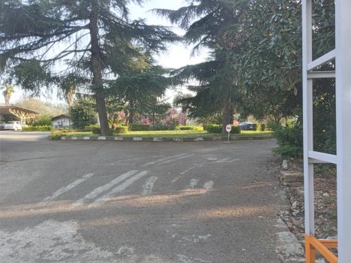 عکس باغ تحقیقات و کشاورزی لاهیجان 