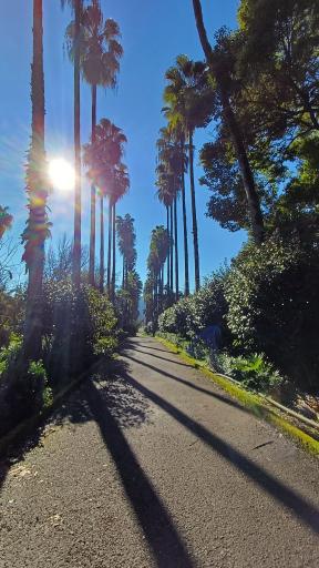 عکس باغ تحقیقات و کشاورزی لاهیجان 