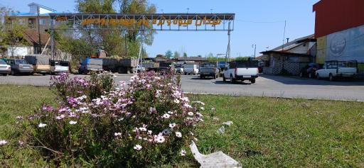 عکس میدان میوه و تره بار رودسر