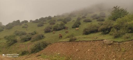 عکس مجتمع گردشگری خصیل دشت