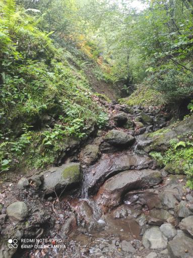 عکس مجتمع گردشگری خصیل دشت