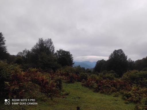 عکس مجتمع گردشگری خصیل دشت