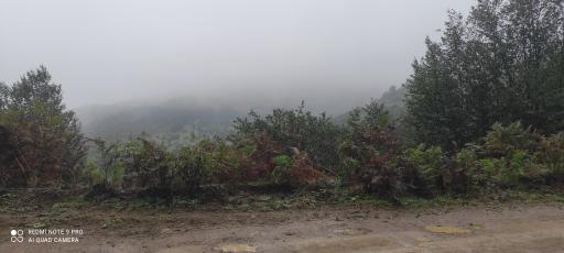 عکس مجتمع گردشگری خصیل دشت