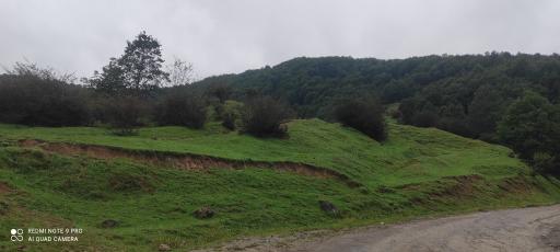 عکس مجتمع گردشگری خصیل دشت