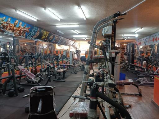 عکس باشگاه هوتن