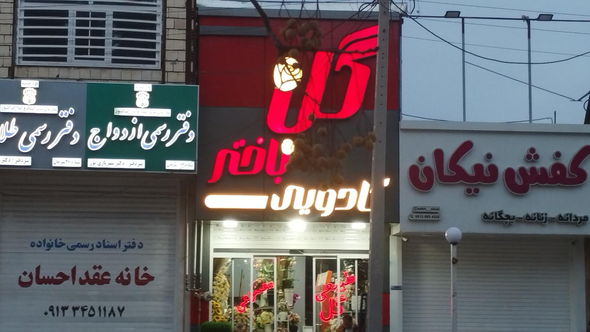 عکس گل باختر