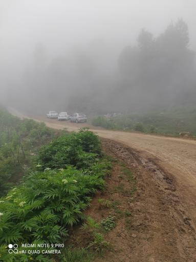 عکس مجتمع گردشگری خصیل دشت