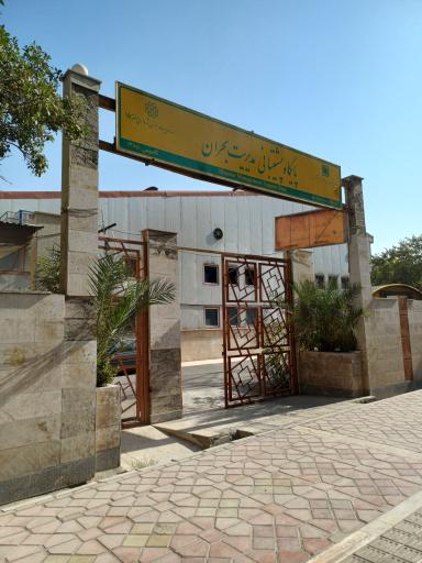 عکس مجموعه ورزشی الزهرا 51