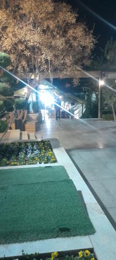 عکس باغ تالار الیزه