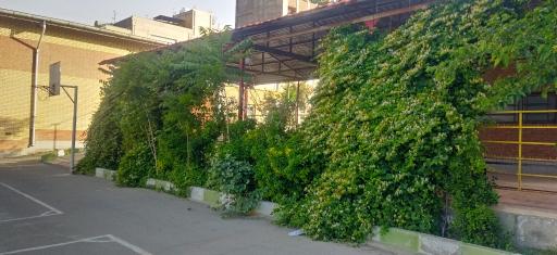 عکس هنرستان علی نورانی پور