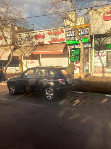 عکس شوینده بهداشتی لوکس