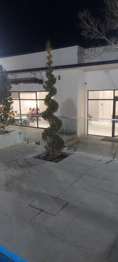 عکس باغ تالار الیزه