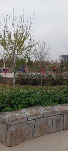 عکس زمین بازی