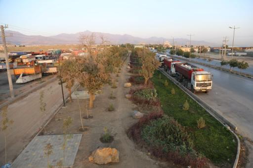 عکس بوستان نواری امام علی 