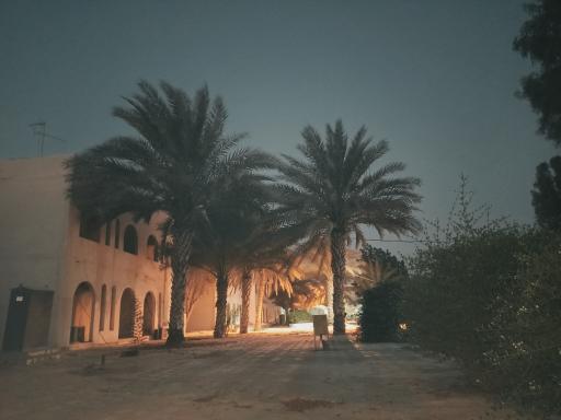 هتل طولا