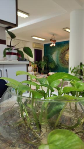 عکس موسسه تخصصی یوگا آسانا