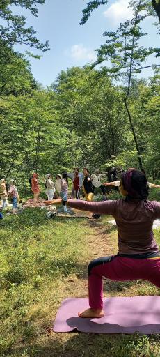 عکس موسسه تخصصی یوگا آسانا