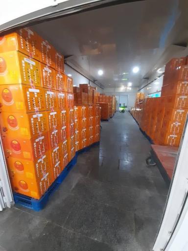 عکس شرکت ویستا تجارت بادیز (آجیلینو)