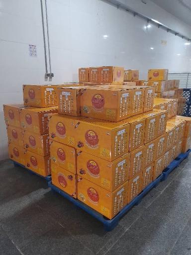 عکس شرکت ویستا تجارت بادیز (آجیلینو)