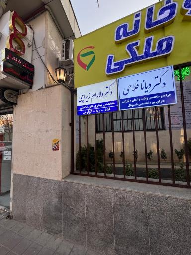 عکس دکتر دلارام زیراچی تخصص بیماری های داخلی