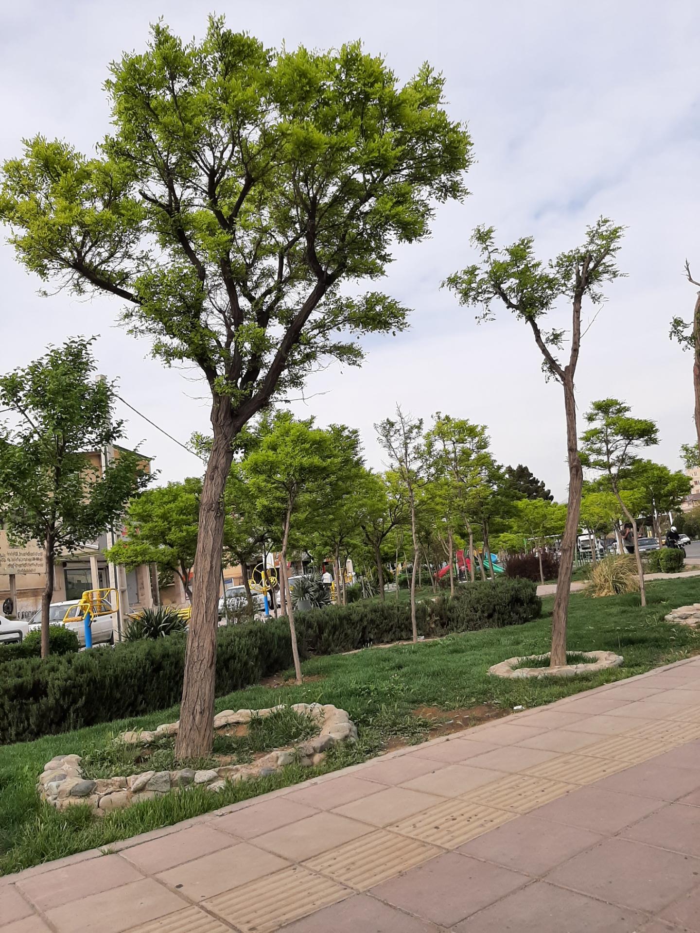 عکس بوستان امیرکبیر