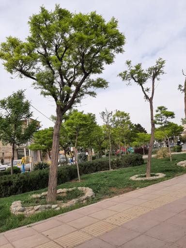 عکس بوستان امیرکبیر