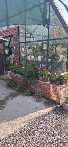 گلخانه گلبن