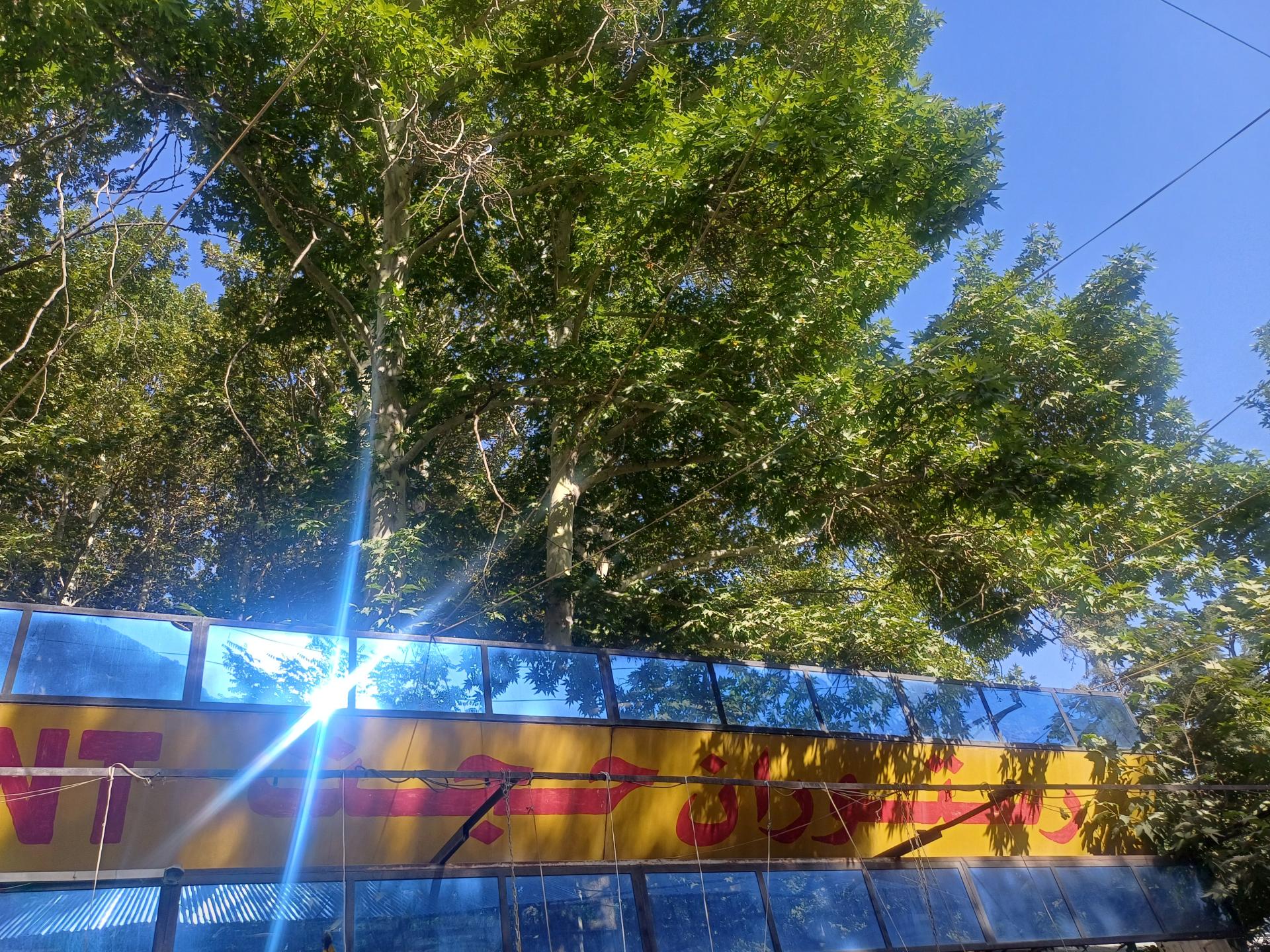 عکس رستوران حجت