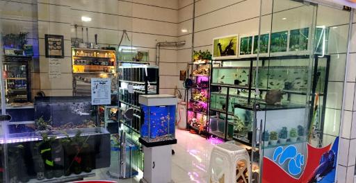 عکس آکواریوم مطهر