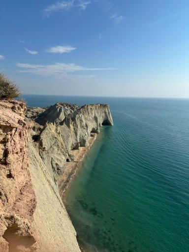 عکس ساحل لاکپشت ها