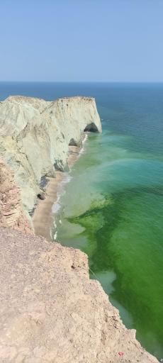 عکس ساحل لاکپشت ها