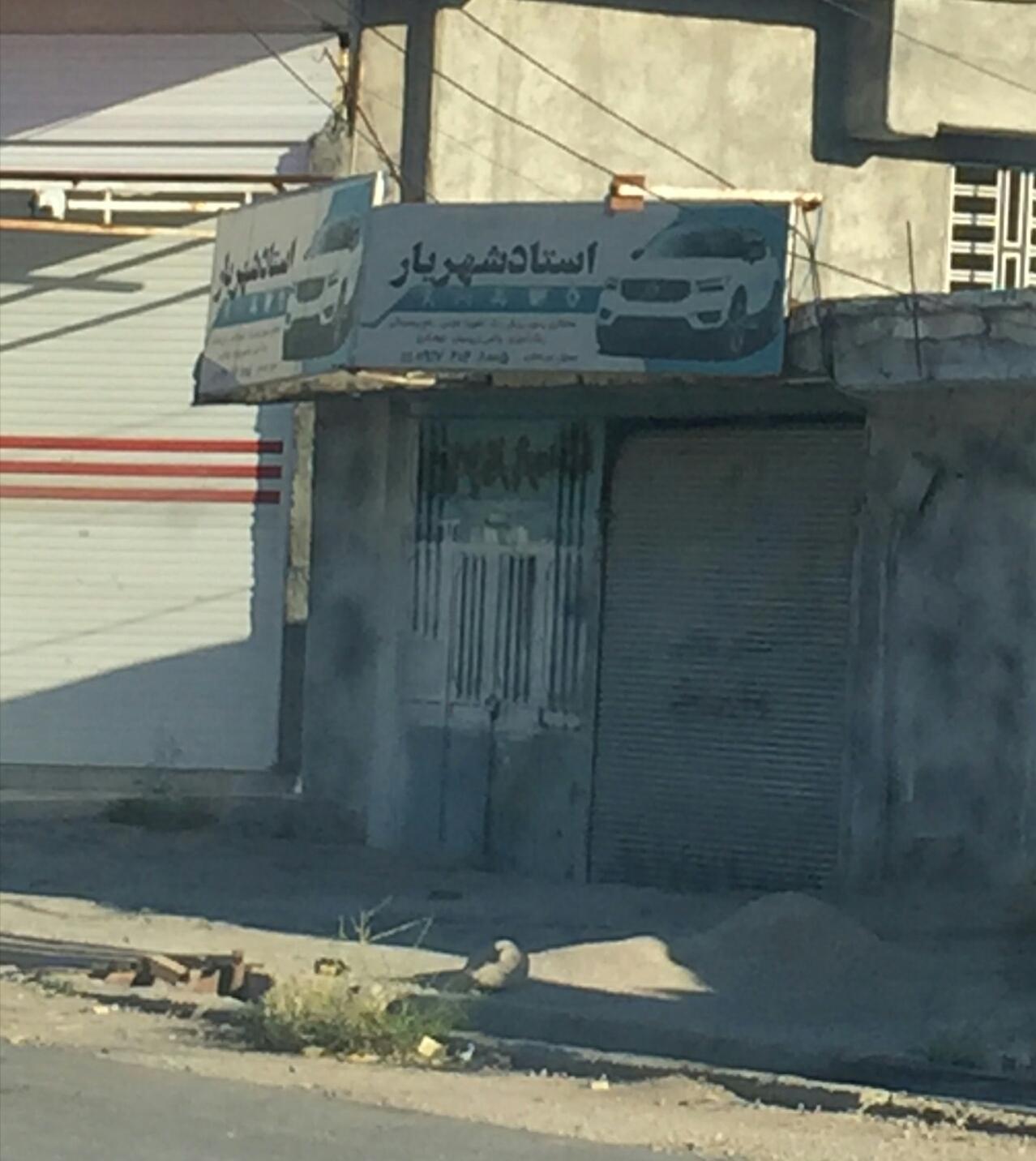 عکس صافکاری استاد شهریار