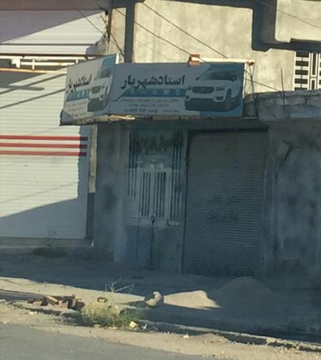 عکس صافکاری استاد شهریار