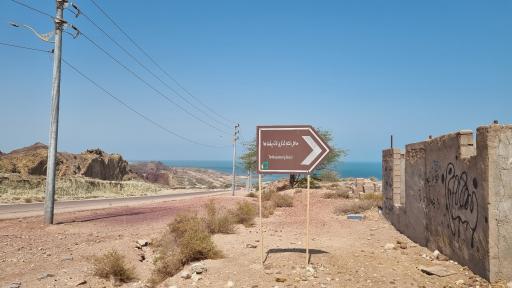 عکس ساحل لاکپشت ها