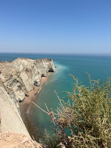 عکس ساحل لاکپشت ها