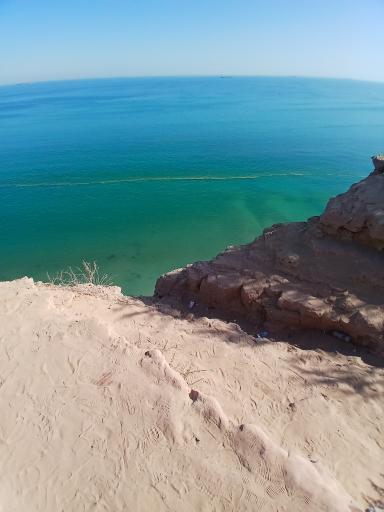 عکس ساحل لاکپشت ها