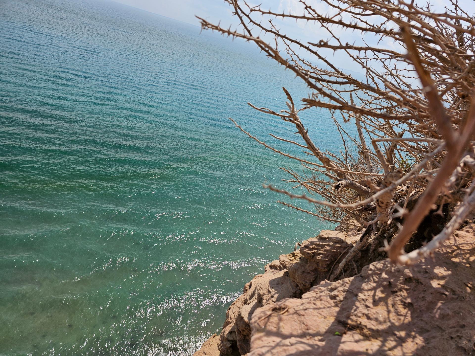 عکس ساحل لاکپشت ها