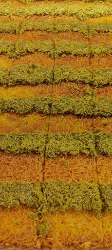 عکس باقلوا تک سین