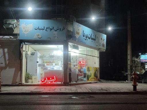 عکس لبنیات پویا