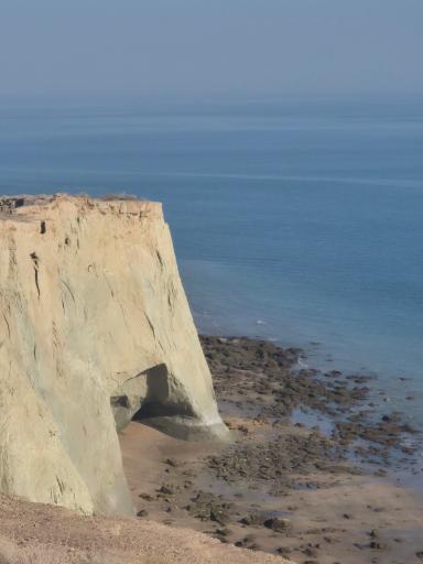 عکس ساحل لاکپشت ها