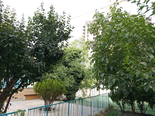 عکس دبستان کسب و کار پسرانه آپادانا 